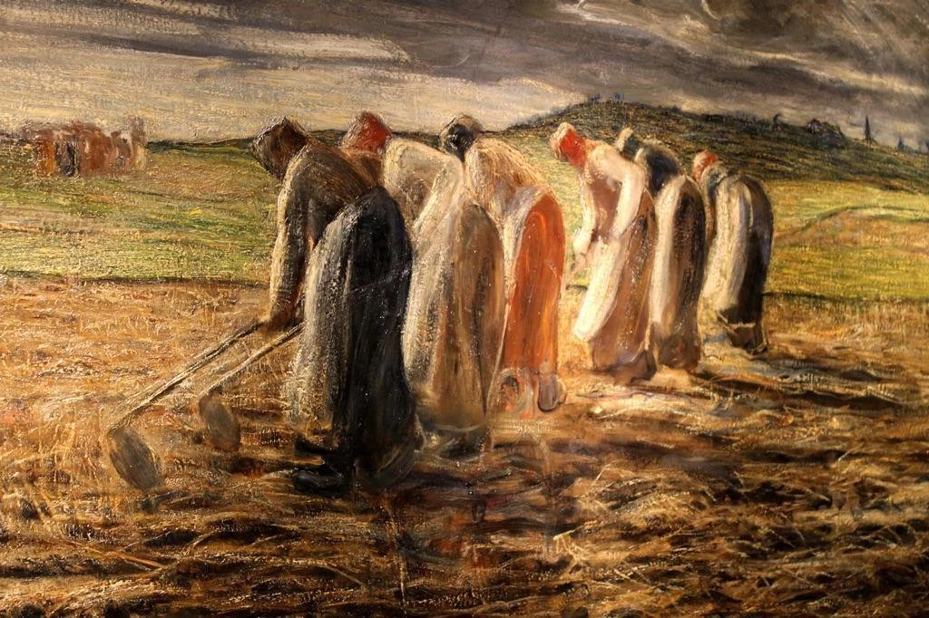 La raccolta delle patate